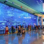 Dubai Mall Aquarium-2